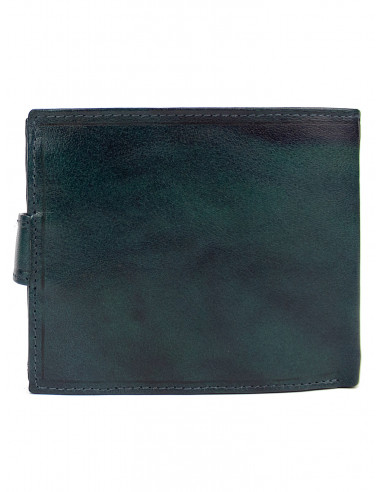 Pánská kožená peněženka Pierre Cardin pc 324a Tilak 12