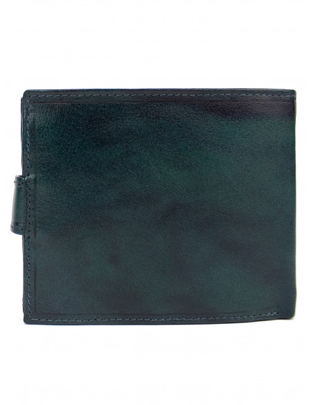 Pánská kožená peněženka Pierre Cardin pc 324a Tilak 12