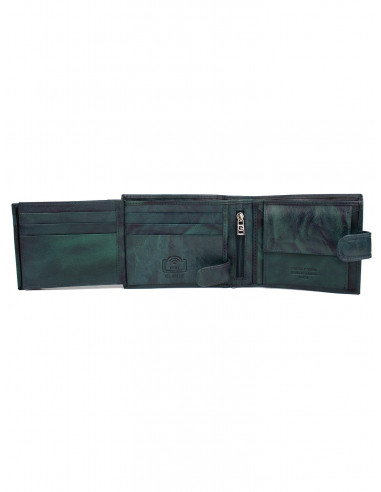 Pánská kožená peněženka Pierre Cardin pc 324a Tilak 12