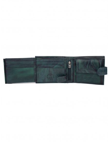 Pánská kožená peněženka Pierre Cardin pc 324a Tilak 12